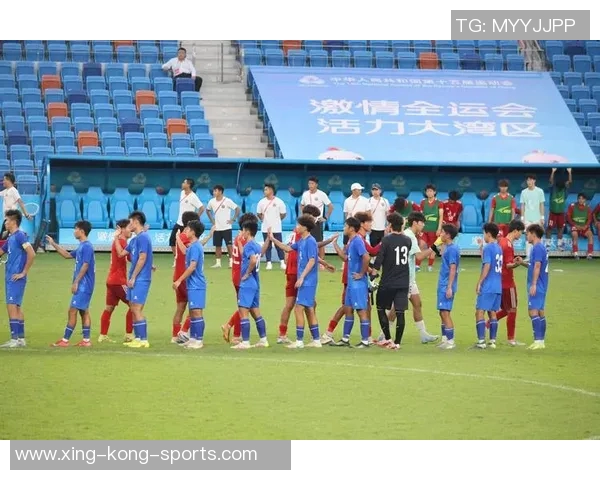 捷克男足球星的辉煌历程与绿茵场上的荣耀时刻